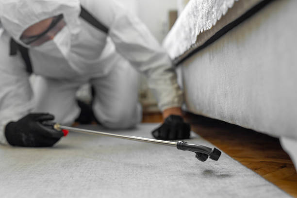 Professional Bed Bug Control technician working in Oakland, TN